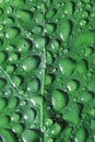 Green leaf with water drops macro Royalty Free Stock Photo