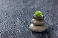 Green leaf with water drops and three wet stones Royalty Free Stock Photo