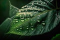 Green Leaves With Waterdrops Close Up View - Generative AI