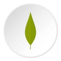 Green leaf of willow icon circle