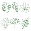 Green leafs doodle easy hand drawn