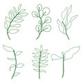 Green leafs doodle hand drawn style Royalty Free Stock Photo