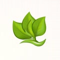 Green leafs plant icon logo vector image