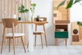 Green leafs in vases on long wooden table in trendy white dining room