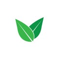 green leaft ecology nature element