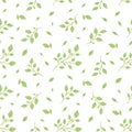 Green leafy branch birch seamless pattern flat Royalty Free Stock Photo