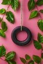 Green Leafy Branches Around Hanging Black Tire Swing on a Vibrant Pink Background Conceptual Nature and Play