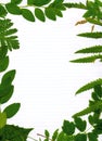 Green leafy natural border