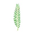 Green Leafy Stem or Stalk with Foliage and Veins Vector Illustration