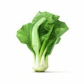 Low Poly Bok Choy: Minimalist Organic Expressionism In 3d