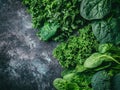 Green Leafy Vegetables and Broccoli on a Dark Background Royalty Free Stock Photo