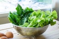 Green leafy vegetables with eggs Royalty Free Stock Photo