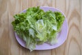 Green leafy vegetables in a plate Royalty Free Stock Photo