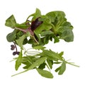 green leafy vegetables, salad cut out isolated white background with clipping path Royalty Free Stock Photo