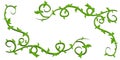 Green Leafy Vines Clip Art Royalty Free Stock Photo