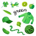 Green. Learn the color. Education set. Illustration of primary colors.