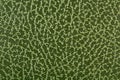 Green leather Royalty Free Stock Photo