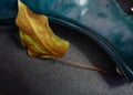 Green leather lady boot and a dry leaf Royalty Free Stock Photo