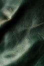 Green Leather Material Close-Up Royalty Free Stock Photo