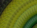 Green leather snake textured background . Royalty Free Stock Photo