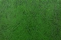 Green leather texture Royalty Free Stock Photo