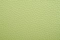 Green leather texture