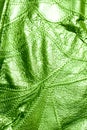 Green Leather Of Texture Background