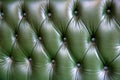 Green leather upholstery texture