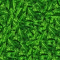 Green leave texture fresh spring  nature background Royalty Free Stock Photo