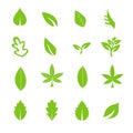 Green leave icons set