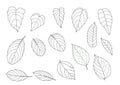 Leaves line single leaf and leaf pattern black Bring to color decorate on white background illustration