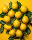 Green Leaves Accent Vibrant Yellow Lemons