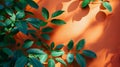 Green leaves against an orange wall with shadows Royalty Free Stock Photo