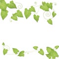 Green leaves backdrop