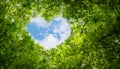 Green leaves background, blue sky heart shape cloud ecology concept idea eco love symbol background abstract Royalty Free Stock Photo