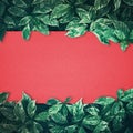 Green leaves background design with red paper.Flat lay.Top view