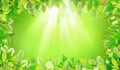 Green leaves background with light array