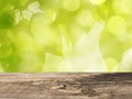 Green Leaves Background in Spring with Wooden Table Royalty Free Stock Photo