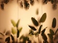 green leaves behind the blurred galass background Royalty Free Stock Photo