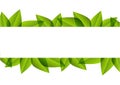 Green leaves border Royalty Free Stock Photo