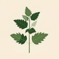 Green leaves on a branch on a cream background. Nettle Urtica logo