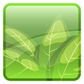 Green leaves button template. Blank square element