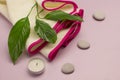 Green leaves, candle, spa stones, towel with a pink border. SPA relaxation concept Royalty Free Stock Photo