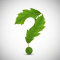 Green leaves are cleverly arranged to form the shape of a question mark. The large, Royalty Free Stock Photo
