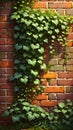 Green leaves contrasting against a textured brick wall background Royalty Free Stock Photo