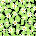 Green Leaves With Daist Fashion Vector Seamless