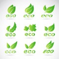Green leaves design. Ecology icon set. Royalty Free Stock Photo