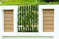 Green leaves ferns on the wall, Old walls with nature. Texture or background for presentation paper Royalty Free Stock Photo