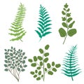 Green leaves floral greenery frest fern frond eucalyptus nature branch vector