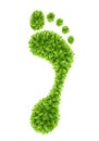 Green leaves footprint